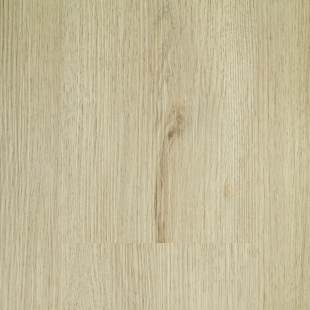 Argent oak