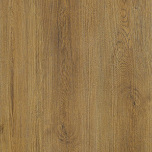 Elegant oak