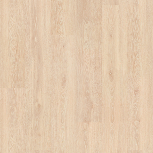 Sand oak