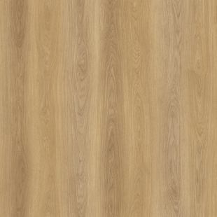 Redwood forest oak