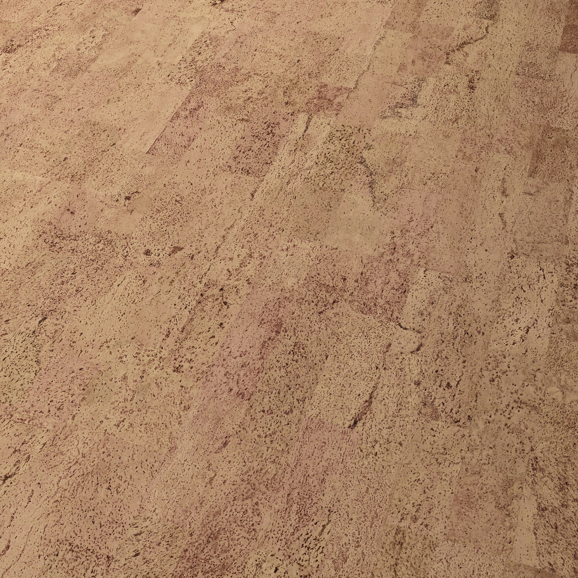 Wicanders Cork Essence Identity Champagne - I805002