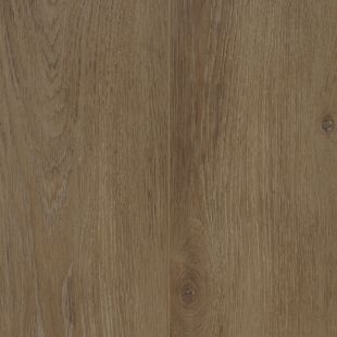 COREtec Baltimore oak 66