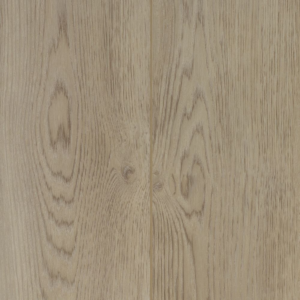COREtec Baltimore oak 77